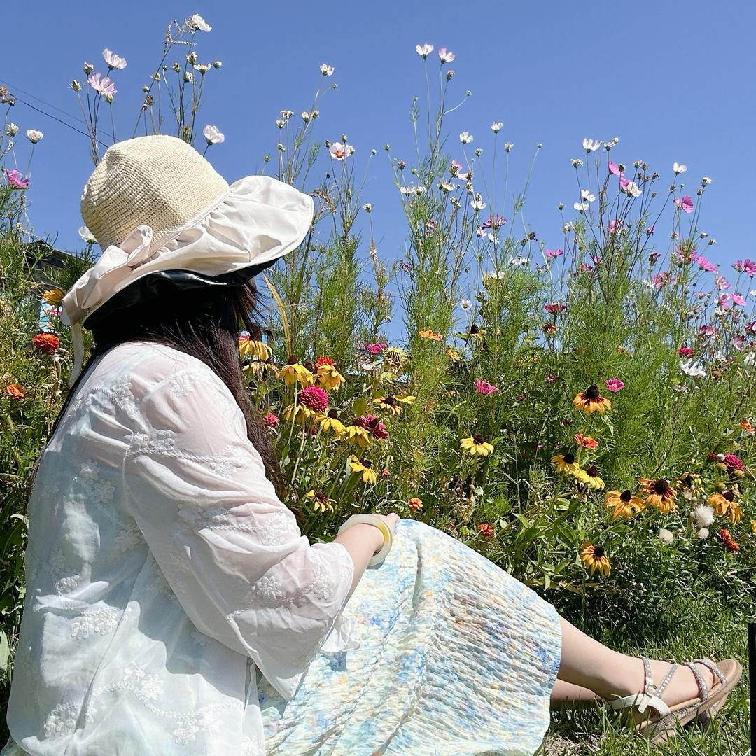 小金今天干点啥