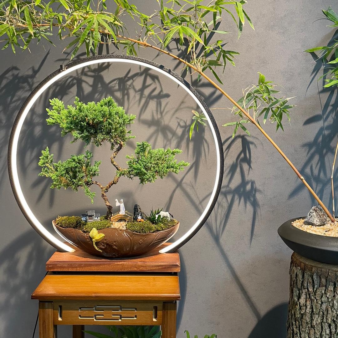 百花村花卉园