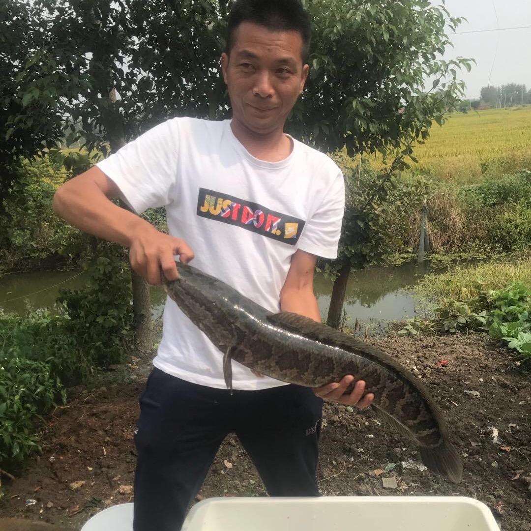 钓黑鱼小王(父子俩)