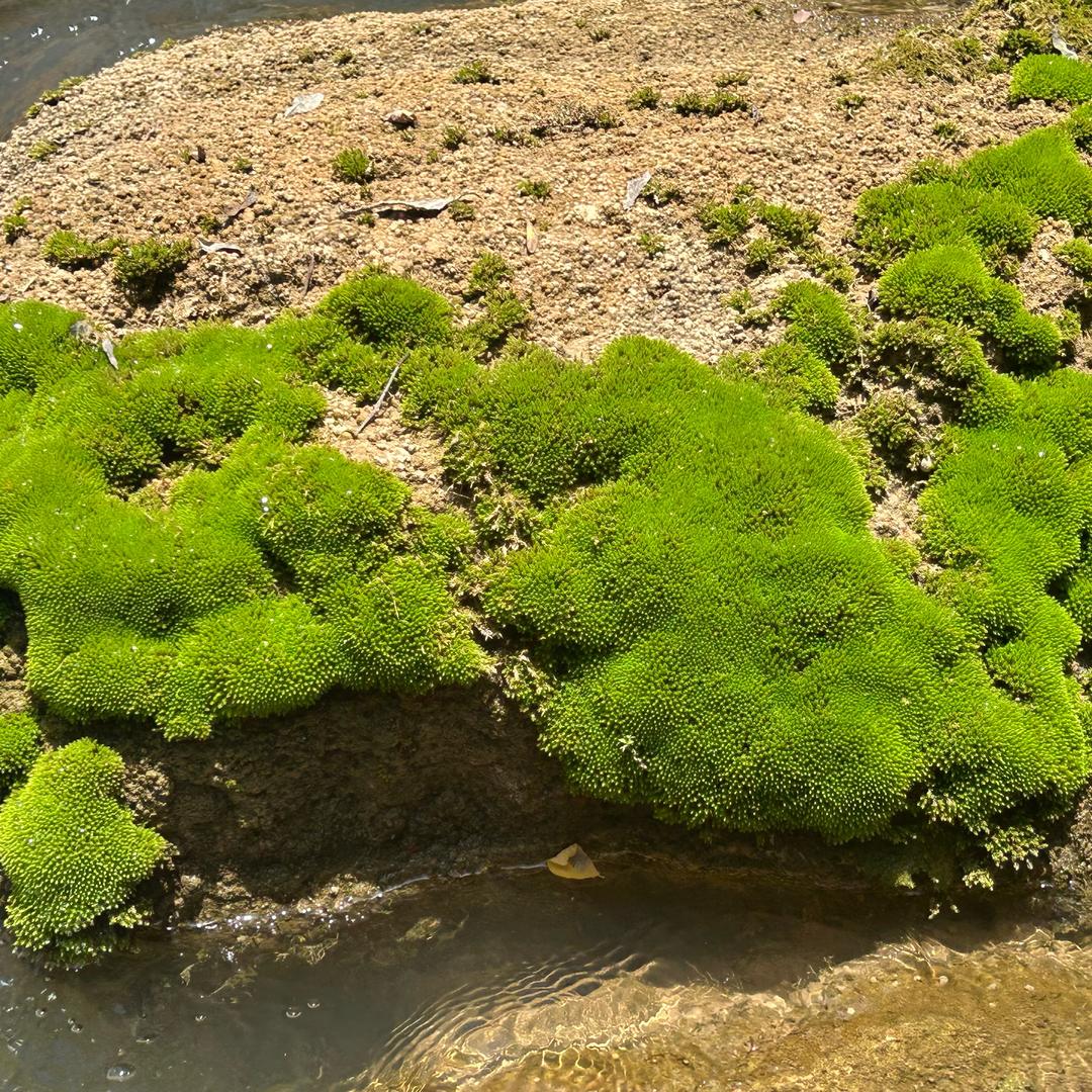 所爱隔山海 山海不可平