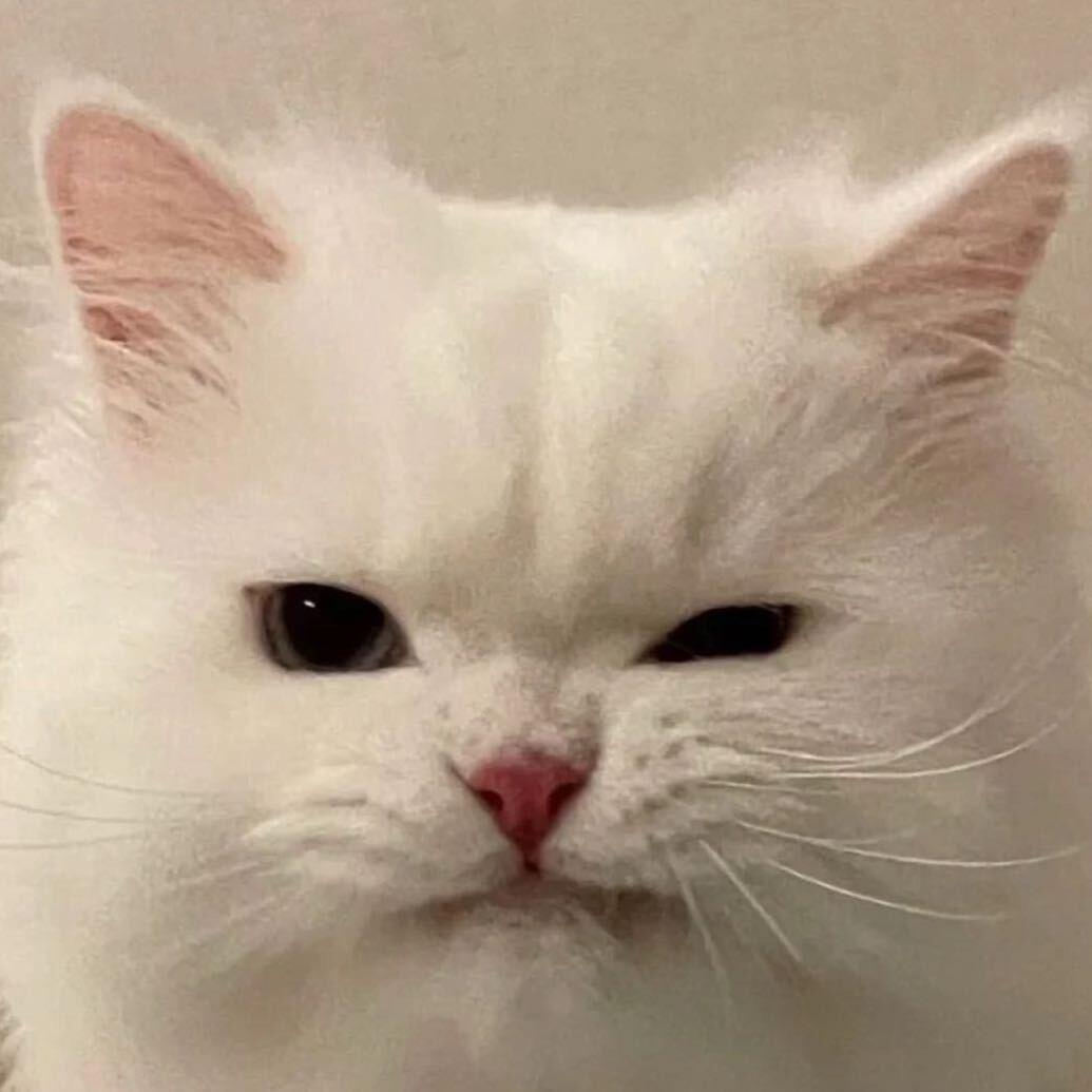 “爱吃咖喱鱼蛋”👧