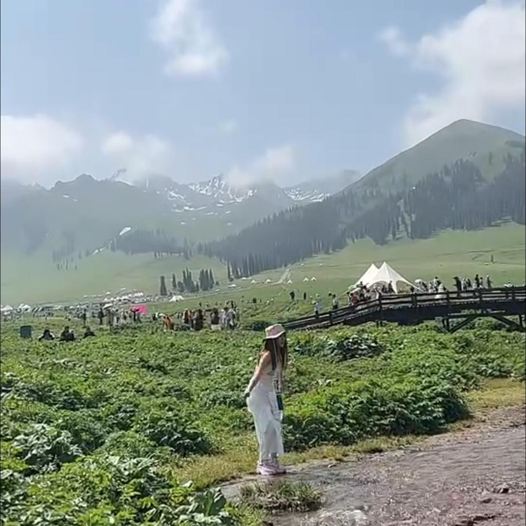 高圣雅Queen