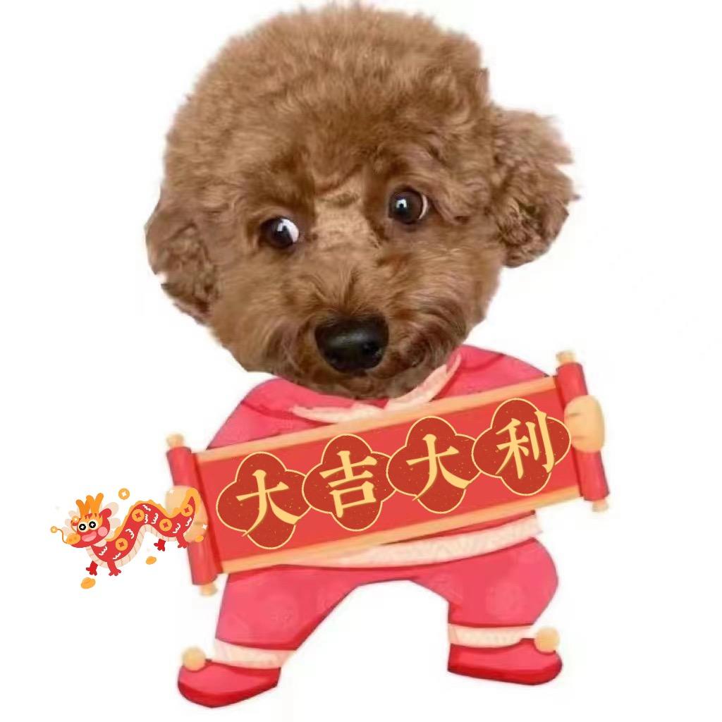 杨臭臭👉宠物用品
