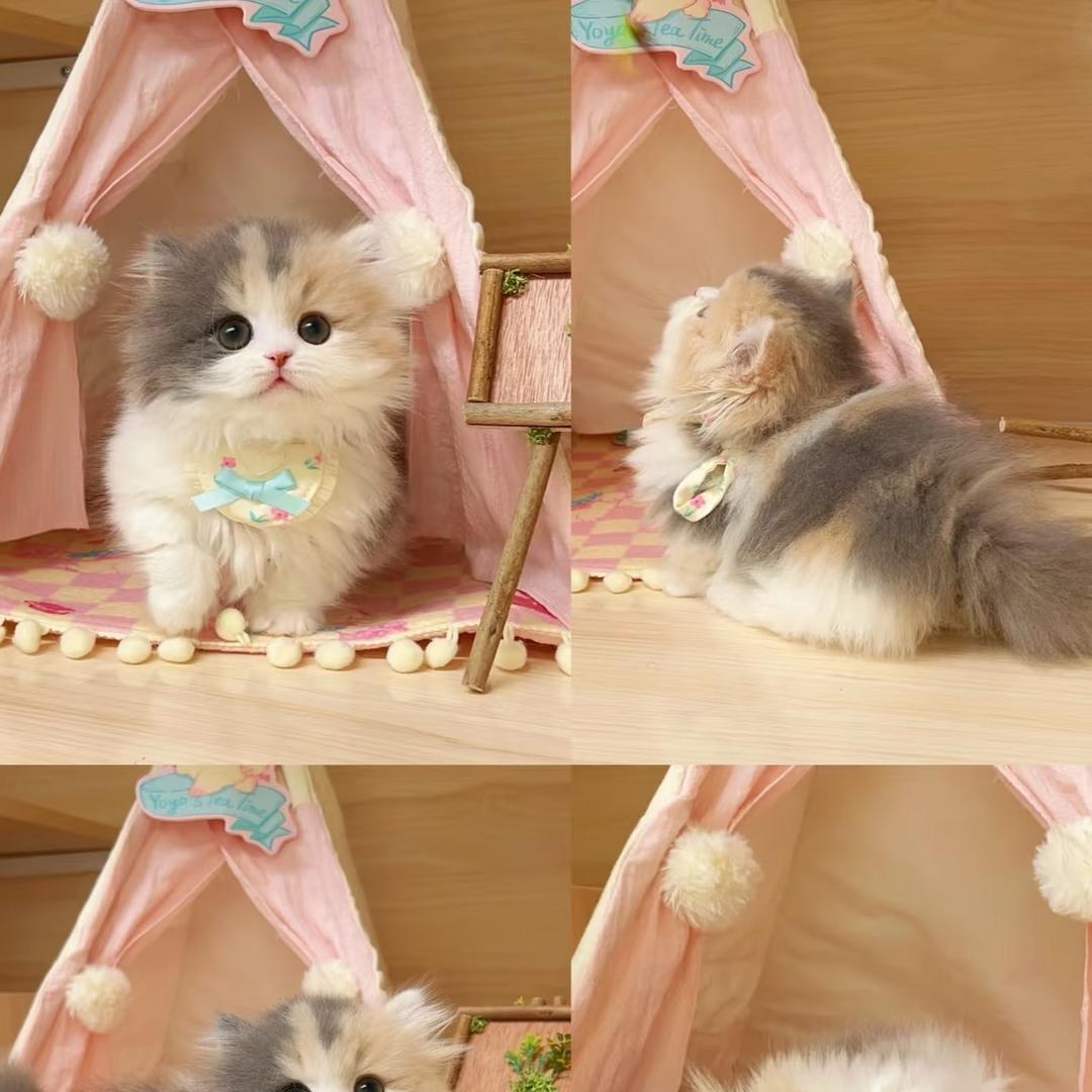 如果当时💐💕