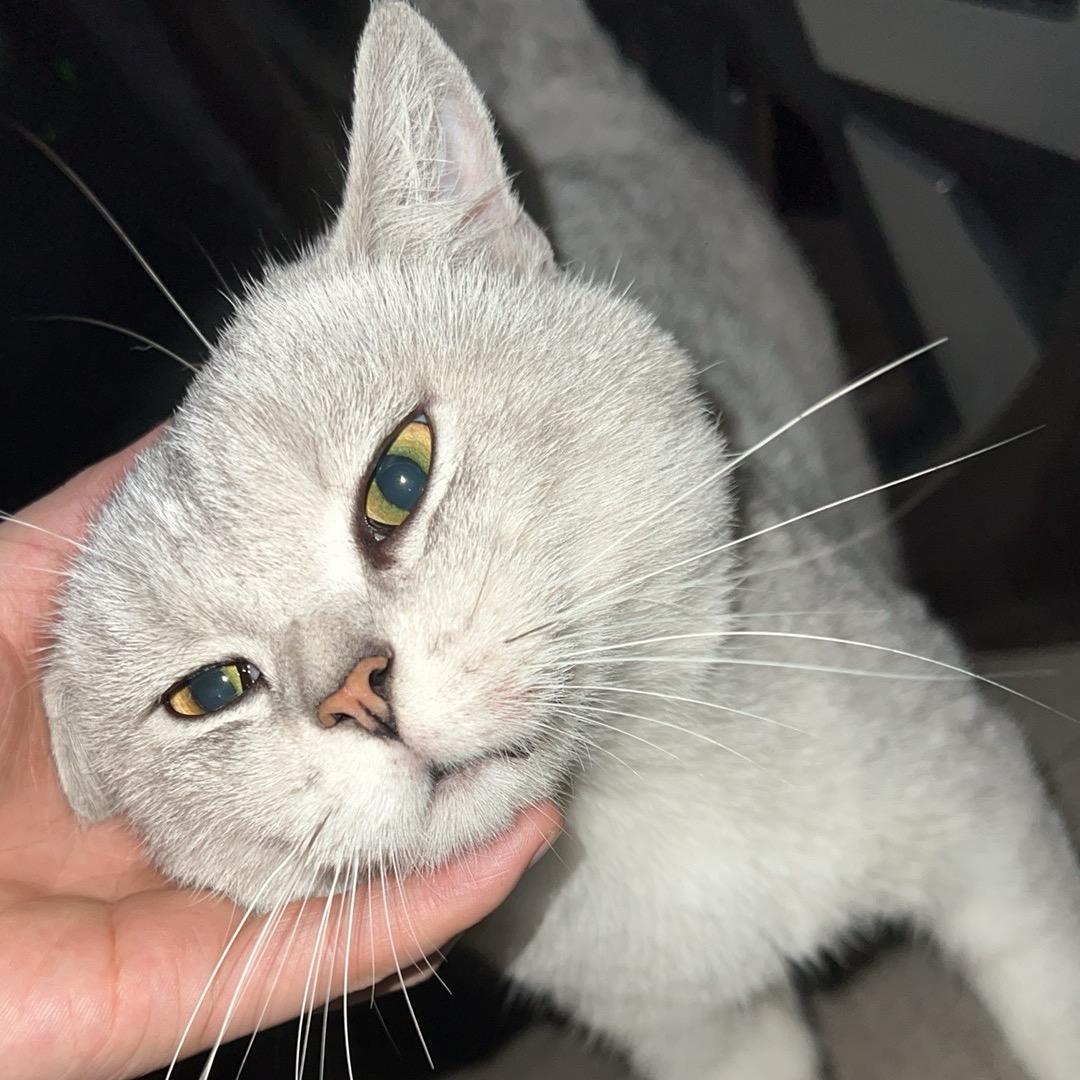 我的普通日常碎碎念