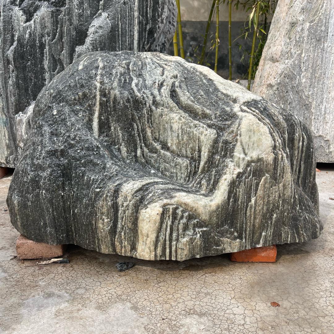 石韵靠山石