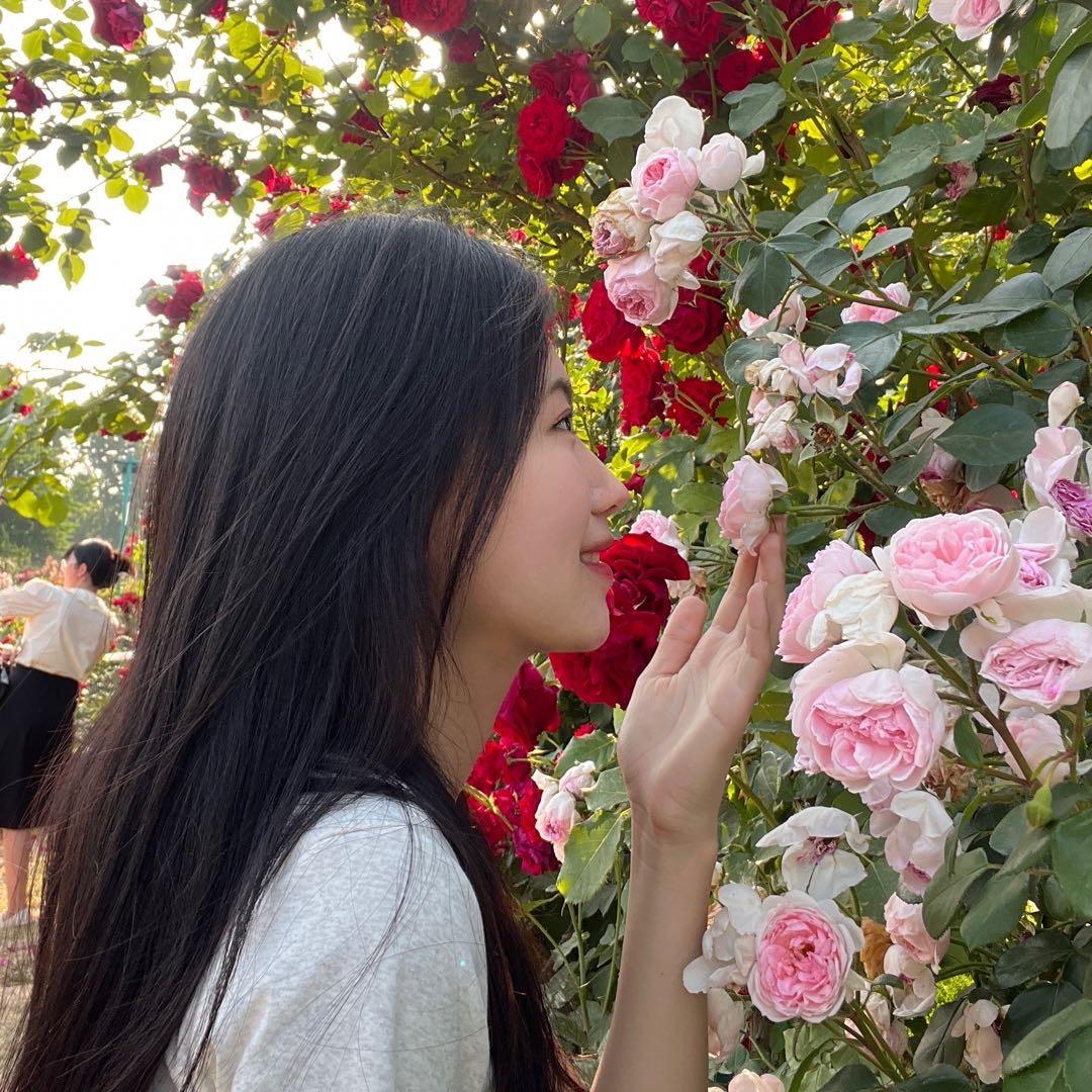 小芙叠