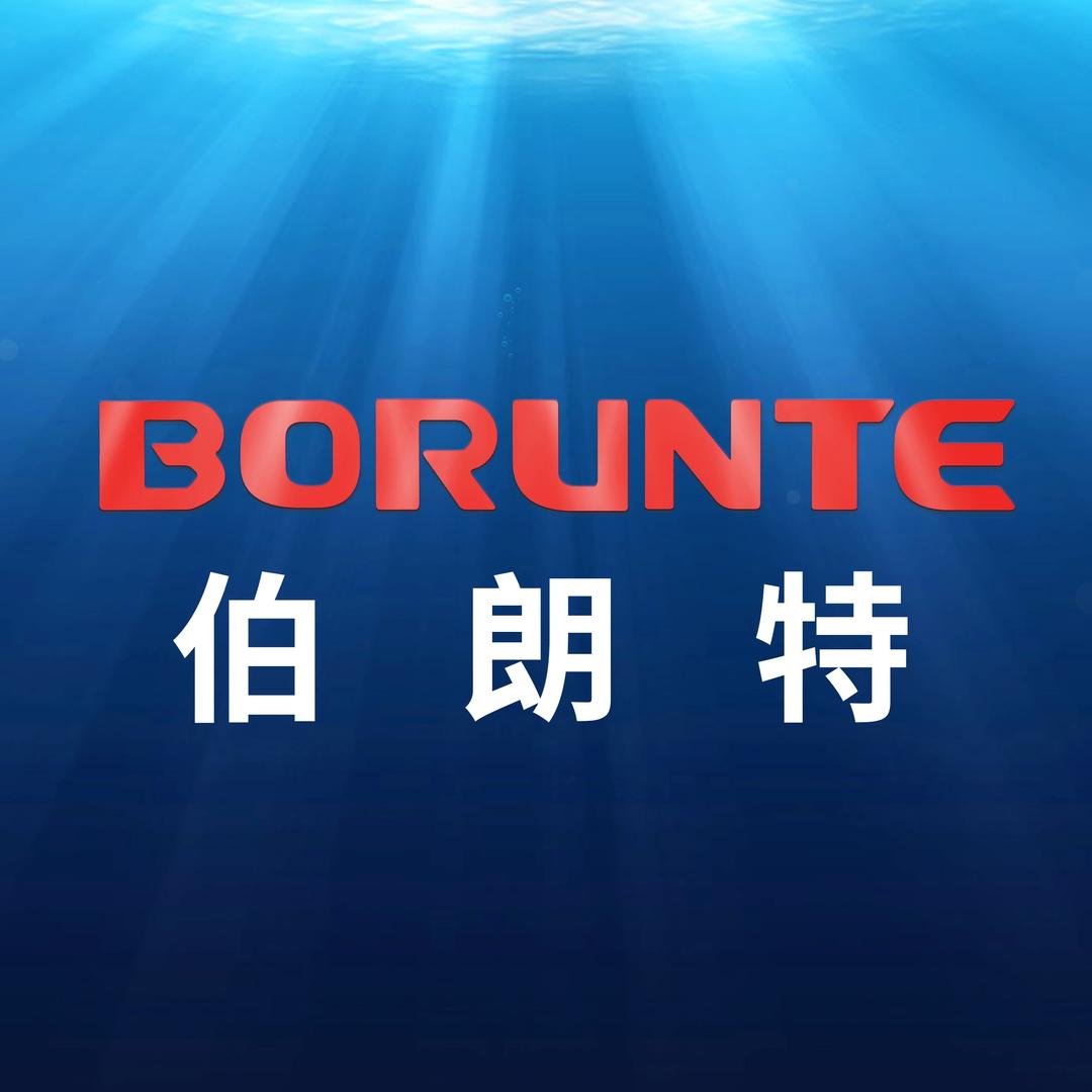 伯朗特机器人股份有限公司