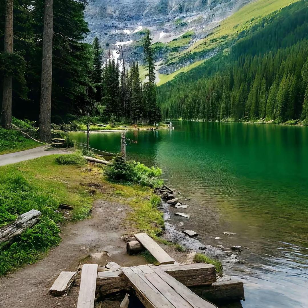 霍邱县铁蛋商贸社