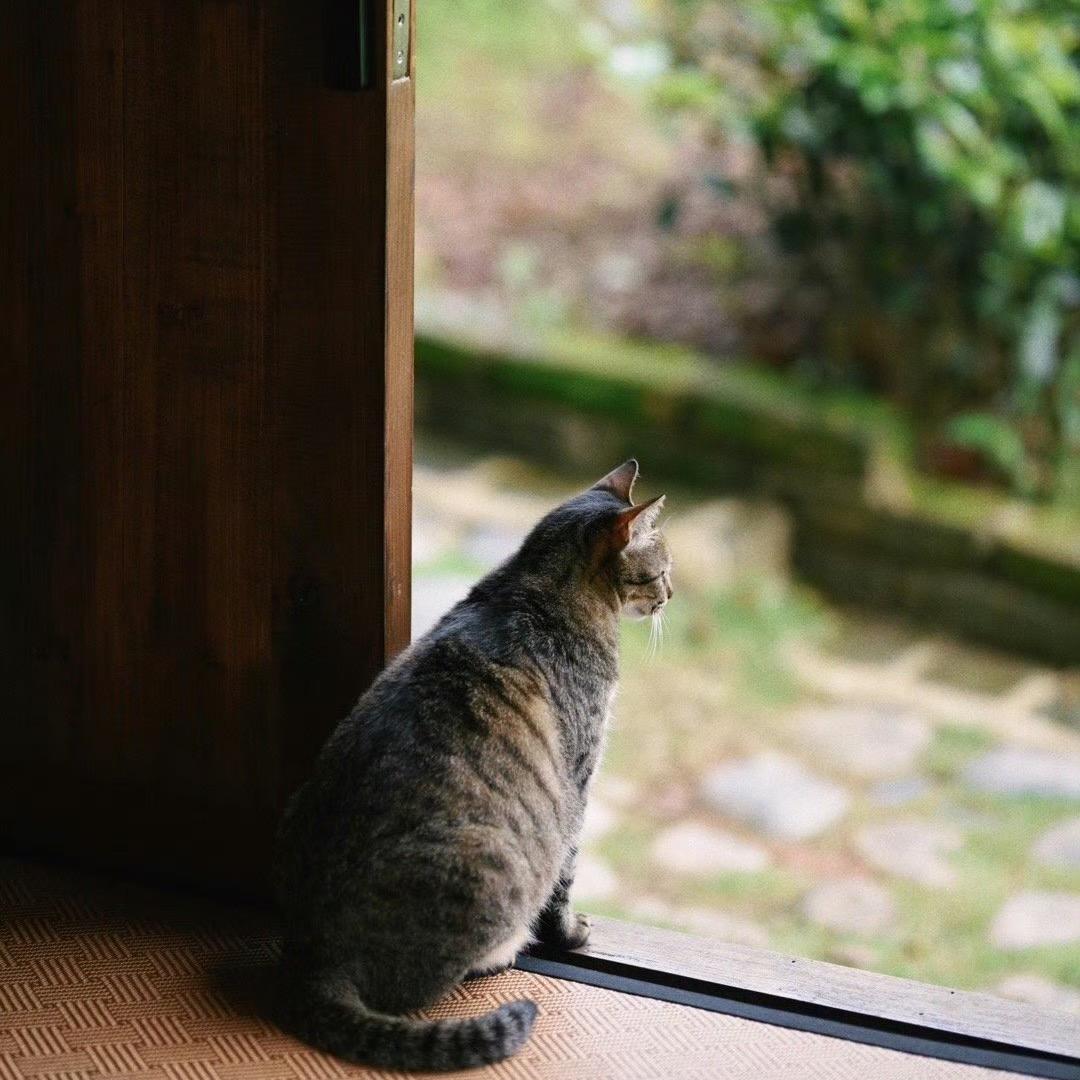 沐森百货工厂店