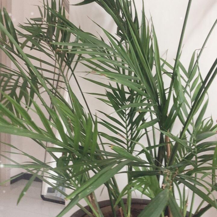 宝贝