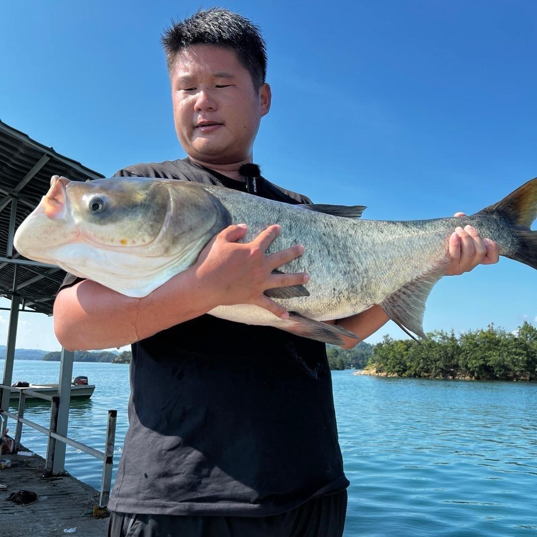 鲢刀·李元霸