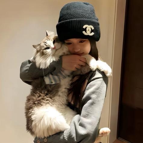 胖熊-
