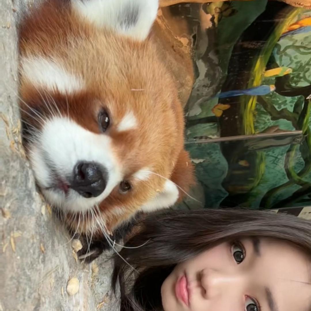 小能苗