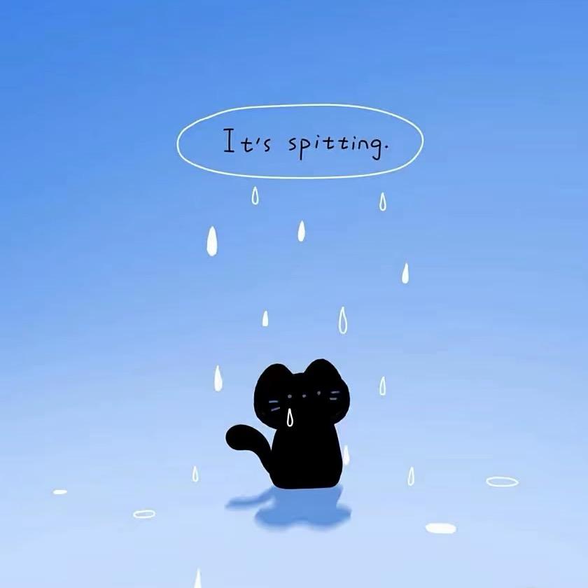 忙肯