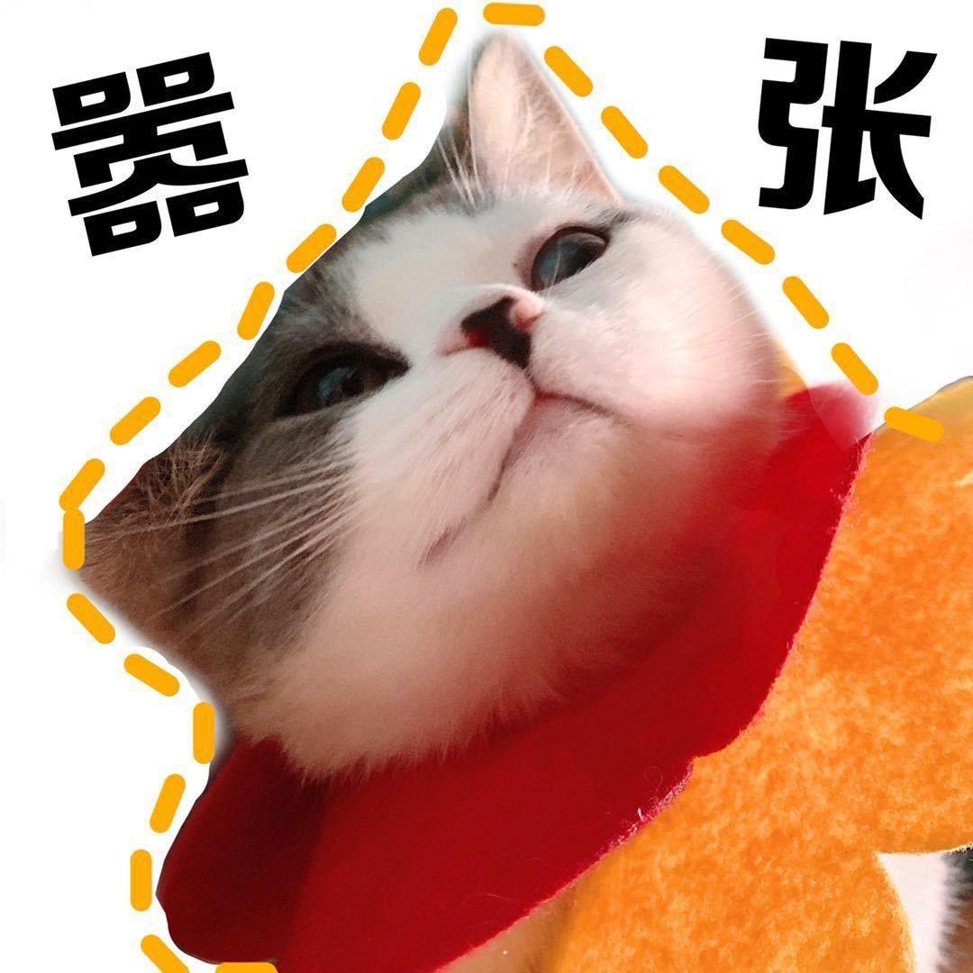 幸福好运发财鱼崽