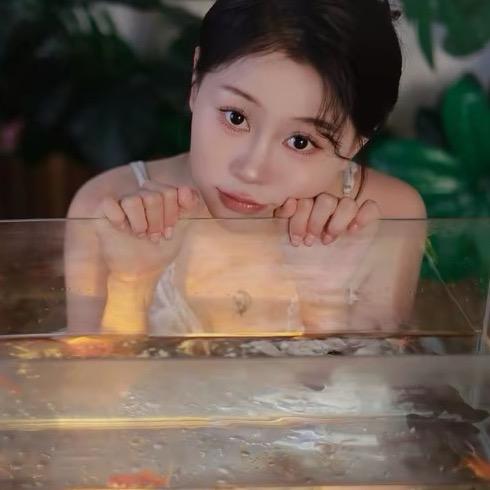 狐狸🦋