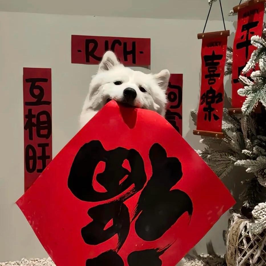 板栗🌰