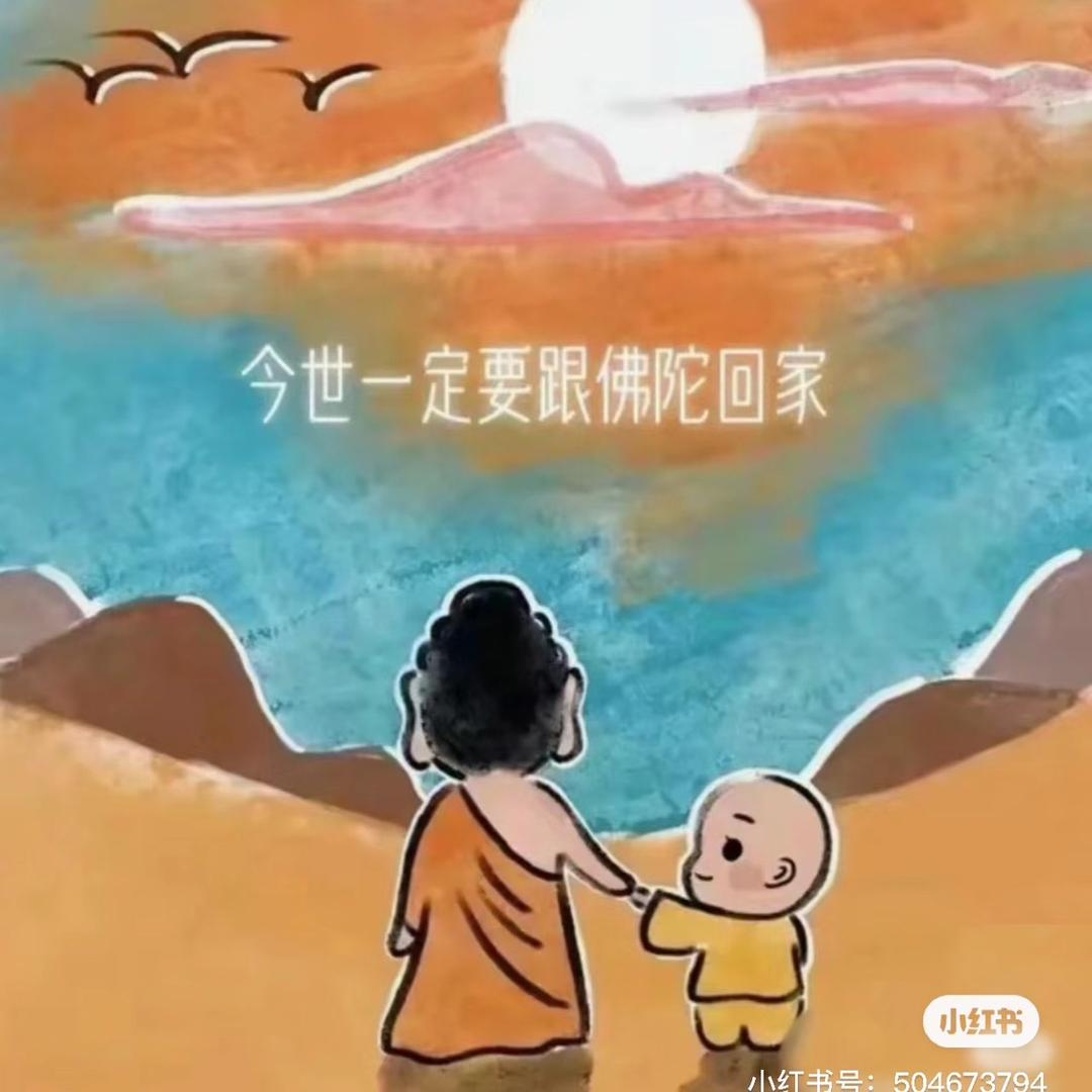 🪷阿弥陀佛🪷