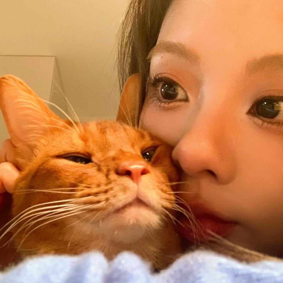 少Hello Kitty我 ᰔᩚ