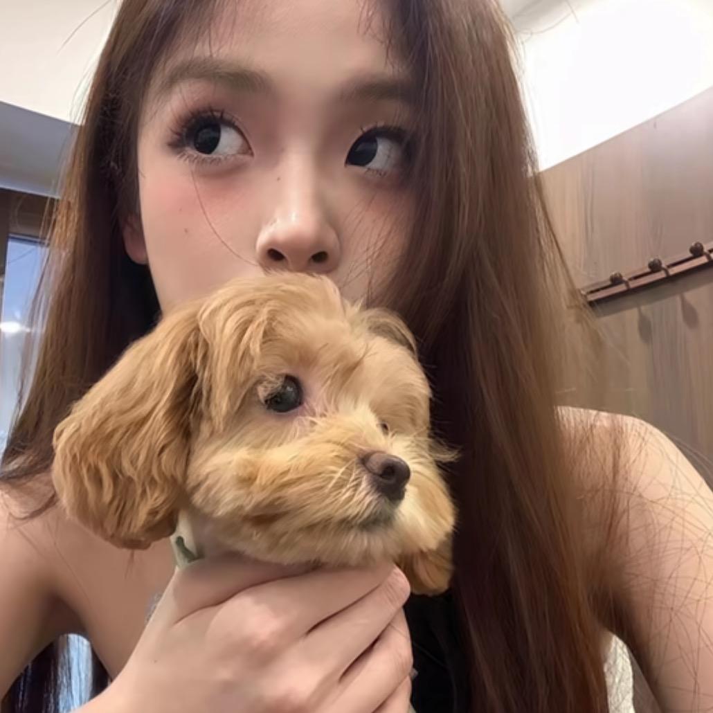 呆呆