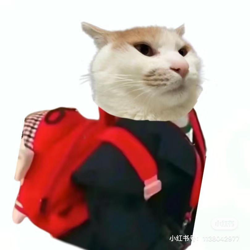 樱岛蔡文姬