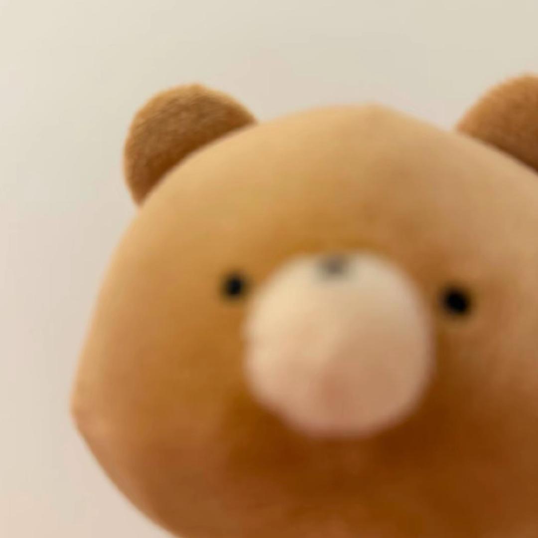 派对猫