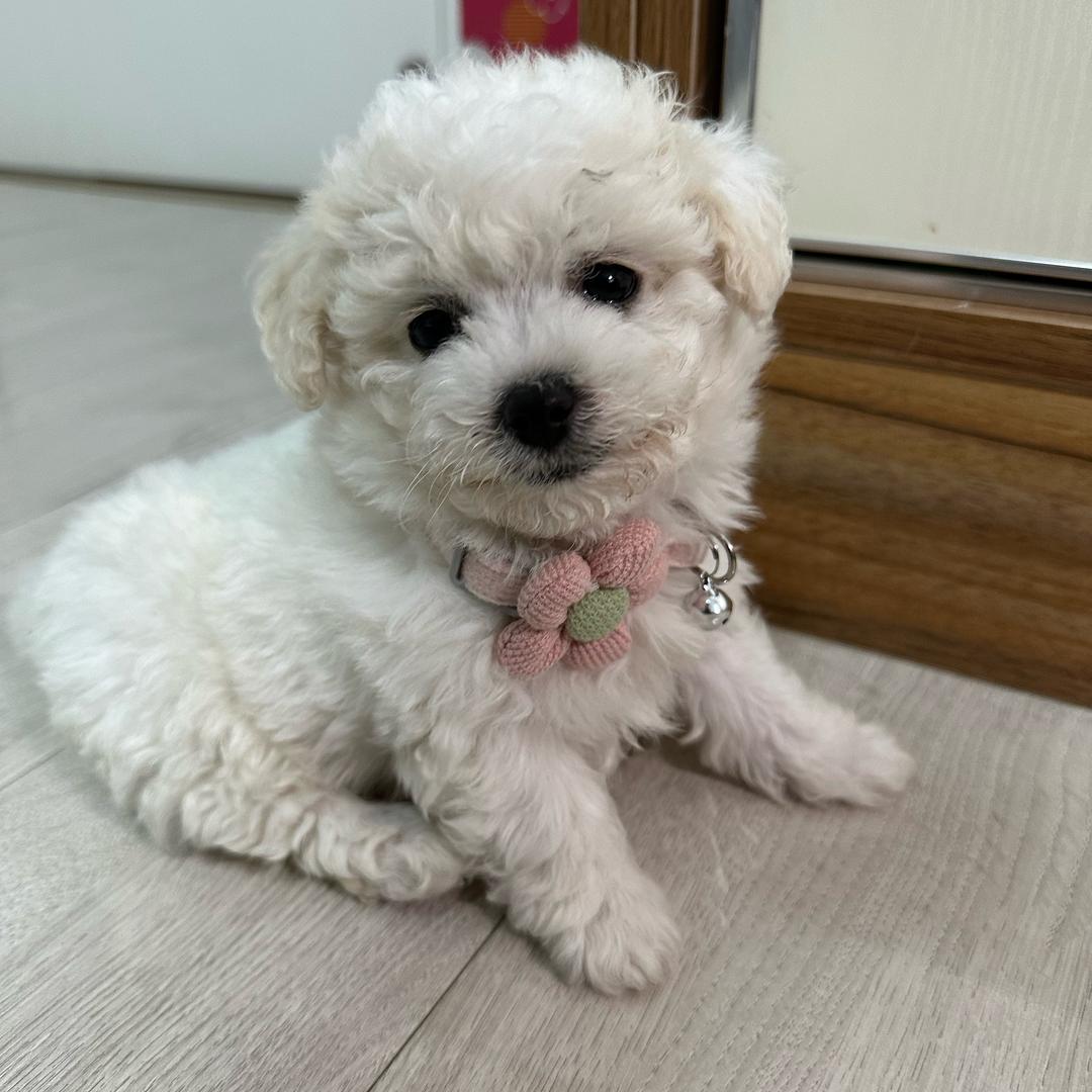 艾米小可爱