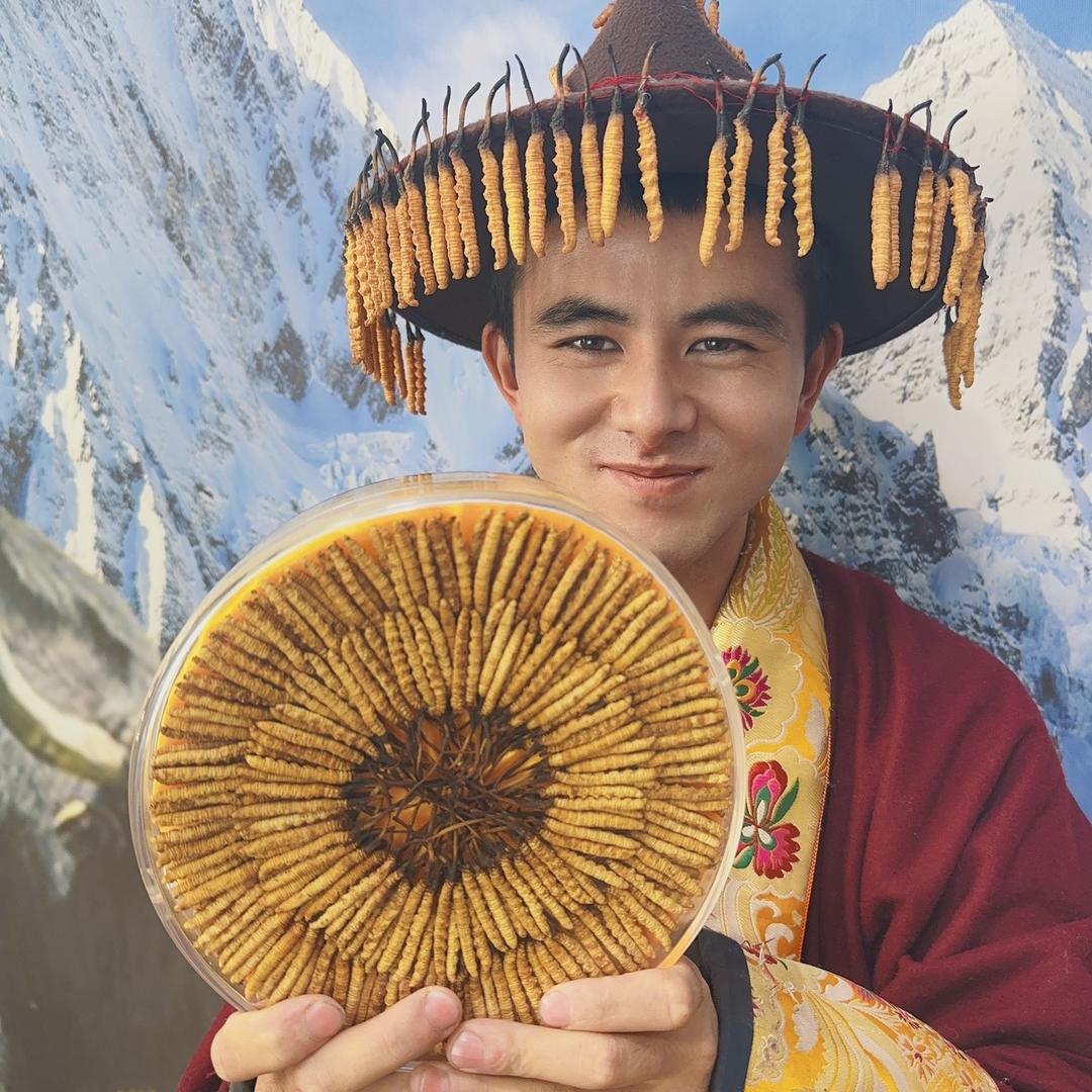 西藏那曲冬虫夏草源产地