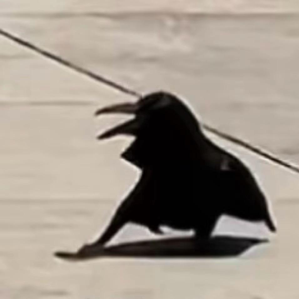 川