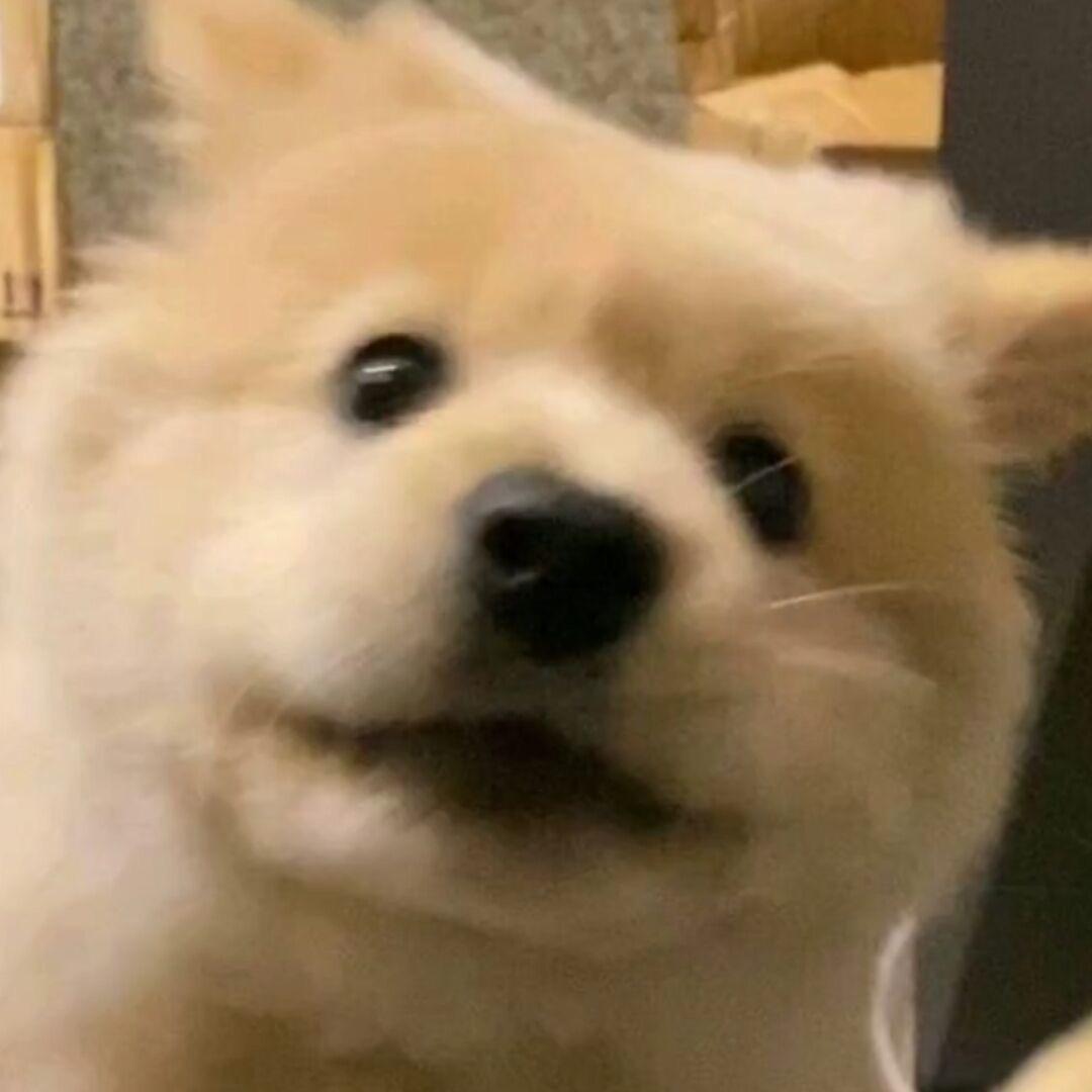 🧱sir