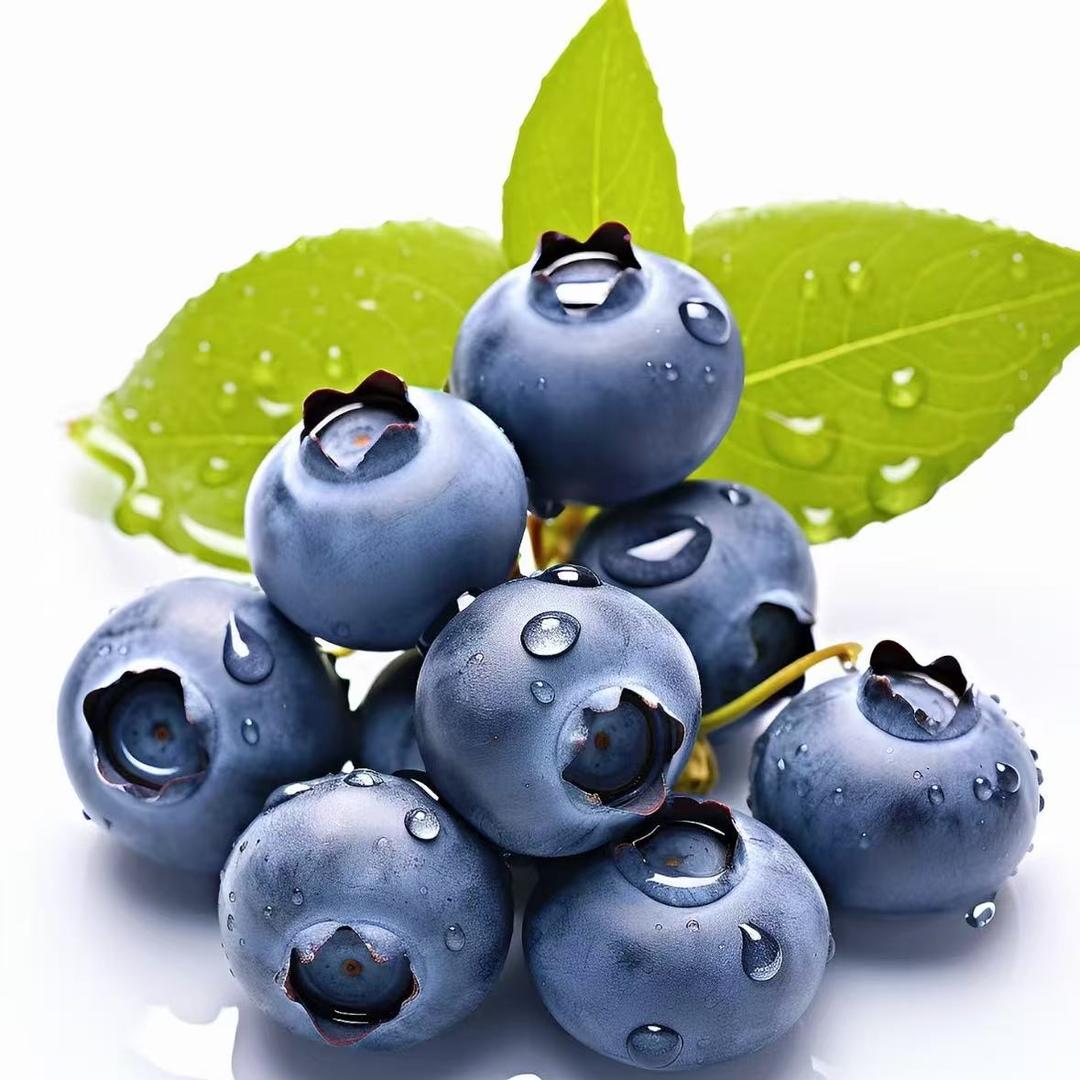 梓豪果树苗木专营店