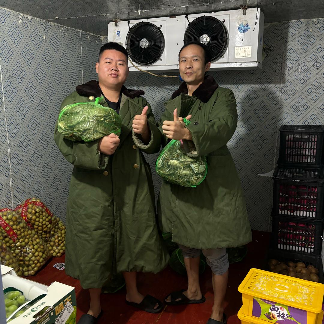 赣三桶网络