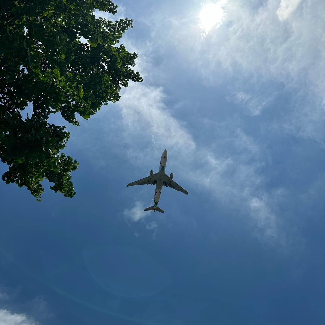 我就是我