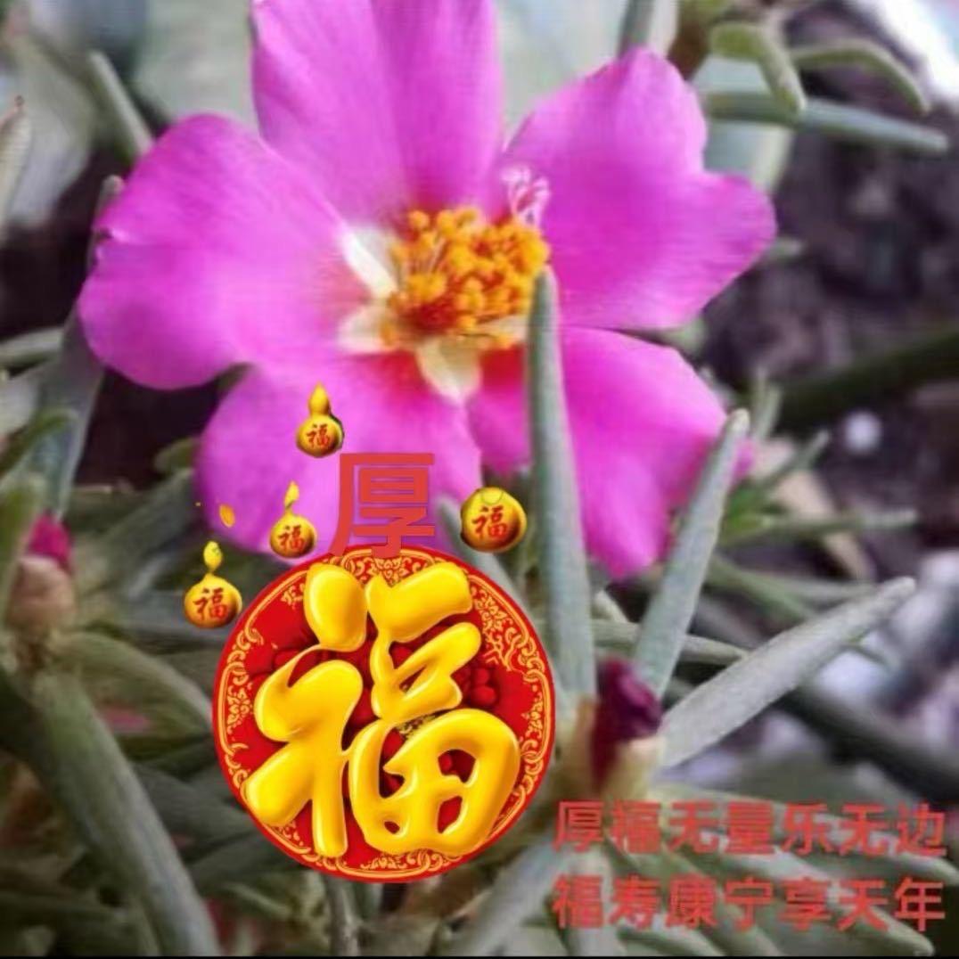 厚福