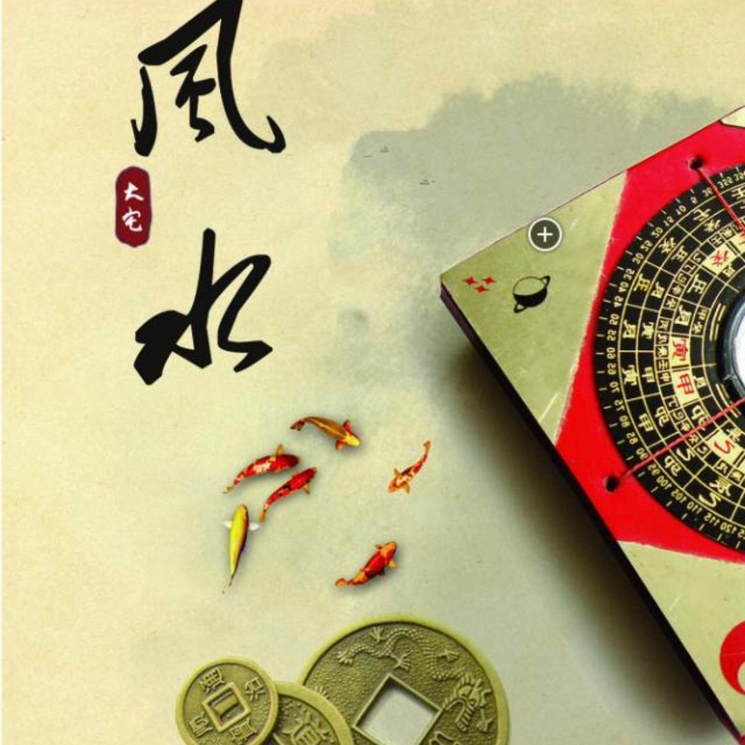 赵文南（企业风水顾问）