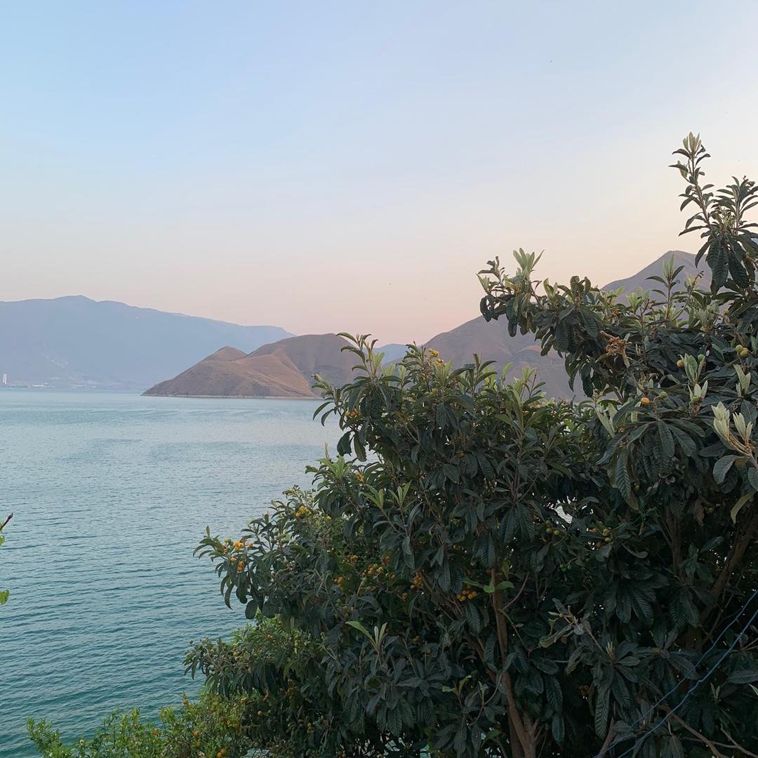 云南农副产品老陈