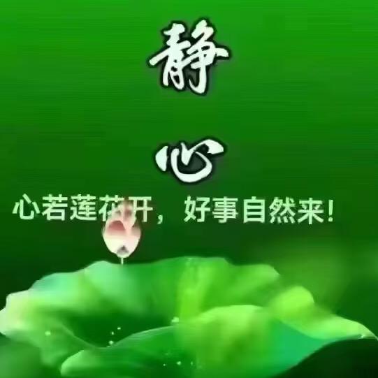 传统医学@数字中医@健康养生产业