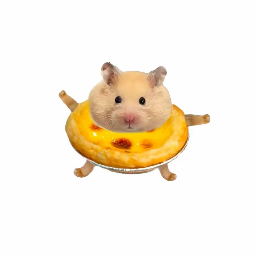 ^蛋挞炒饭^