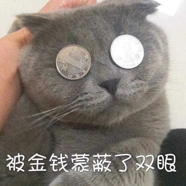 落花随水