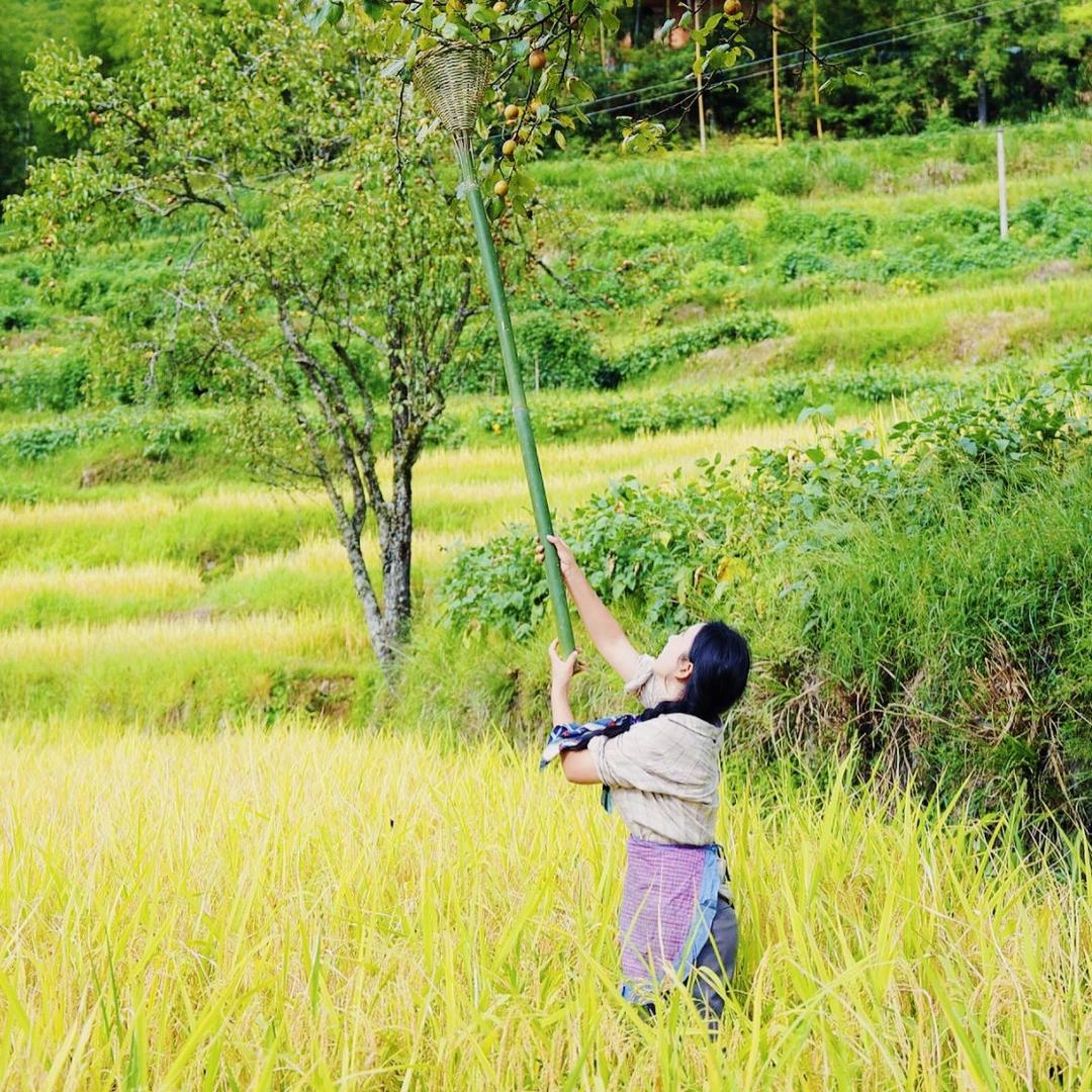 乡村小曾