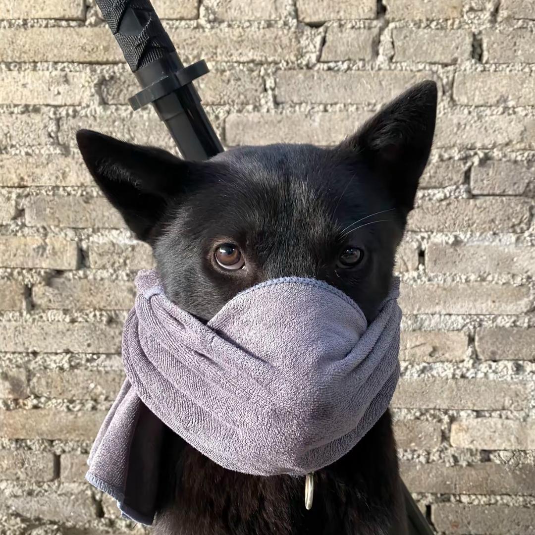 挣钱吃猪脚饭
