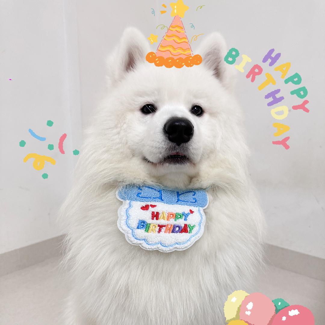 柒柒是只耶耶。