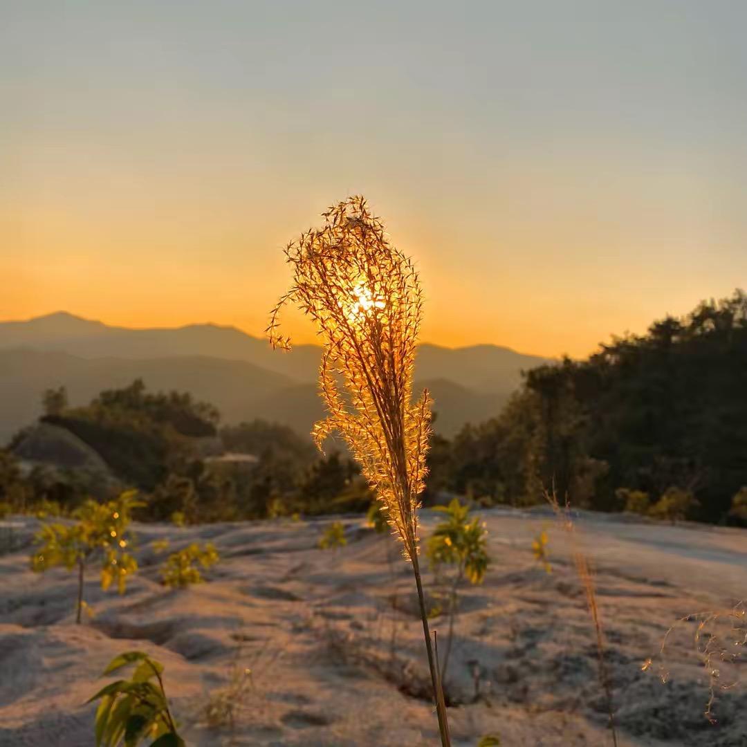 小朋友直播返场