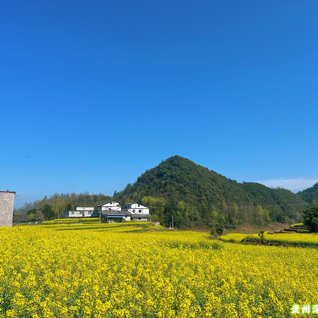 贵州深山农源