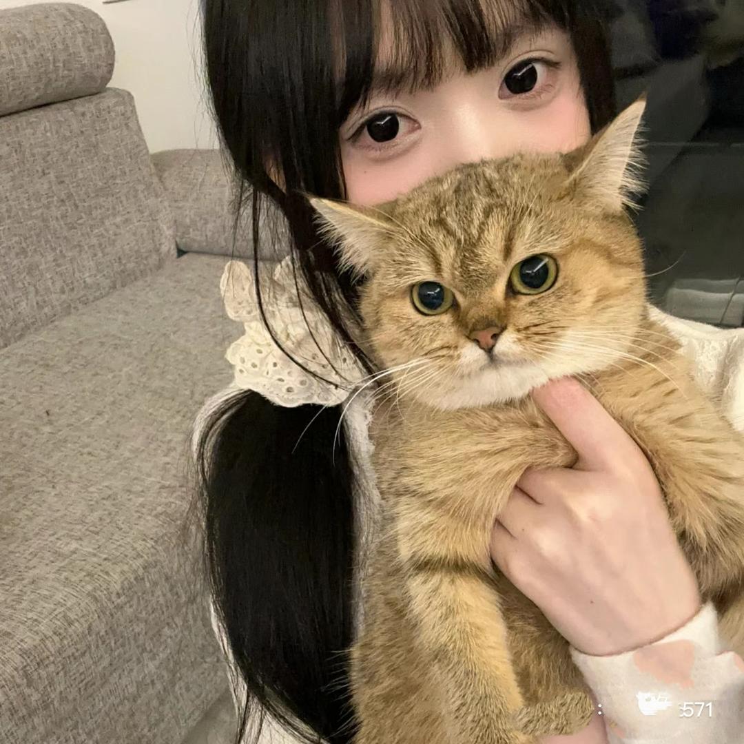 爱长肉肉的囡囡吖