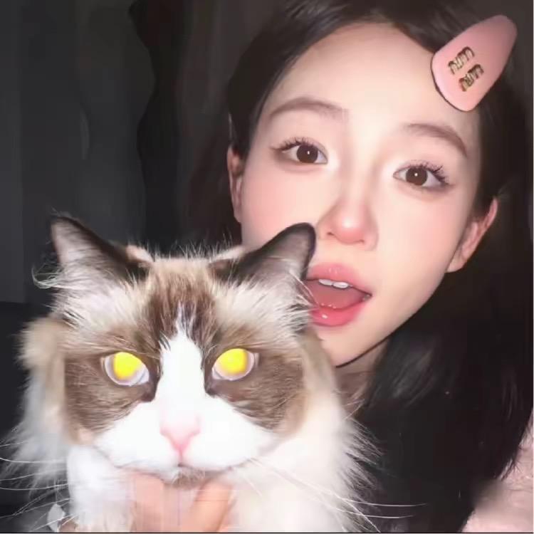 超级悦悦（减脂版