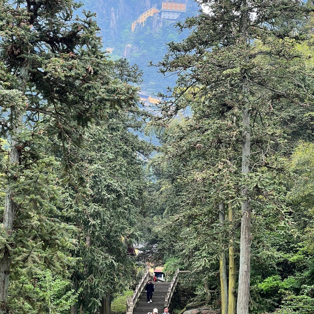顺利健康小铺