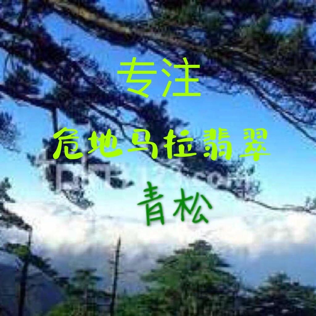 青松翡翠