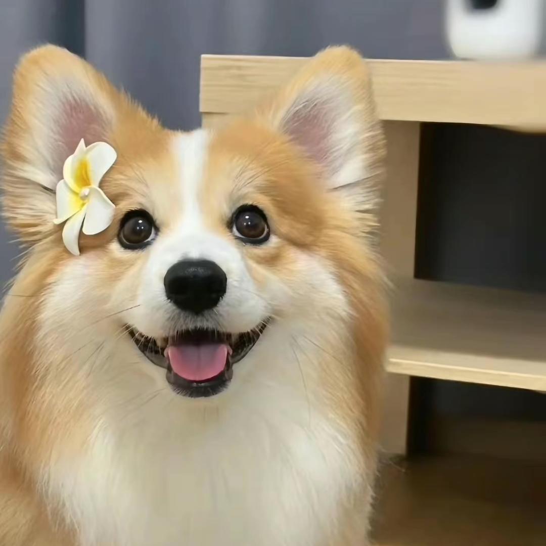 代乎迟百货零售店